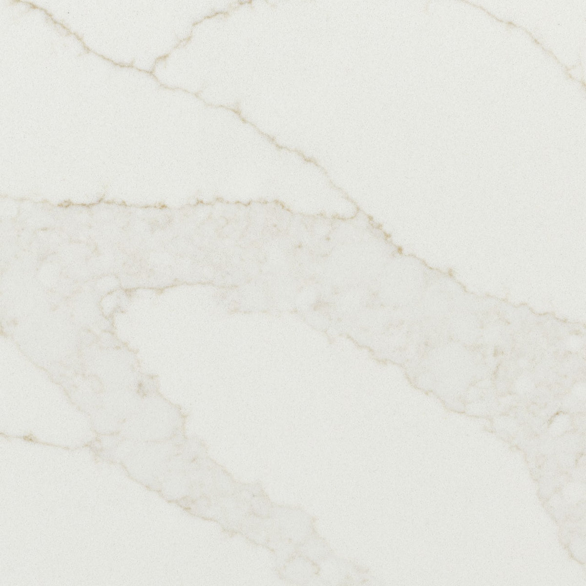 Calacatta Elysio Quartz