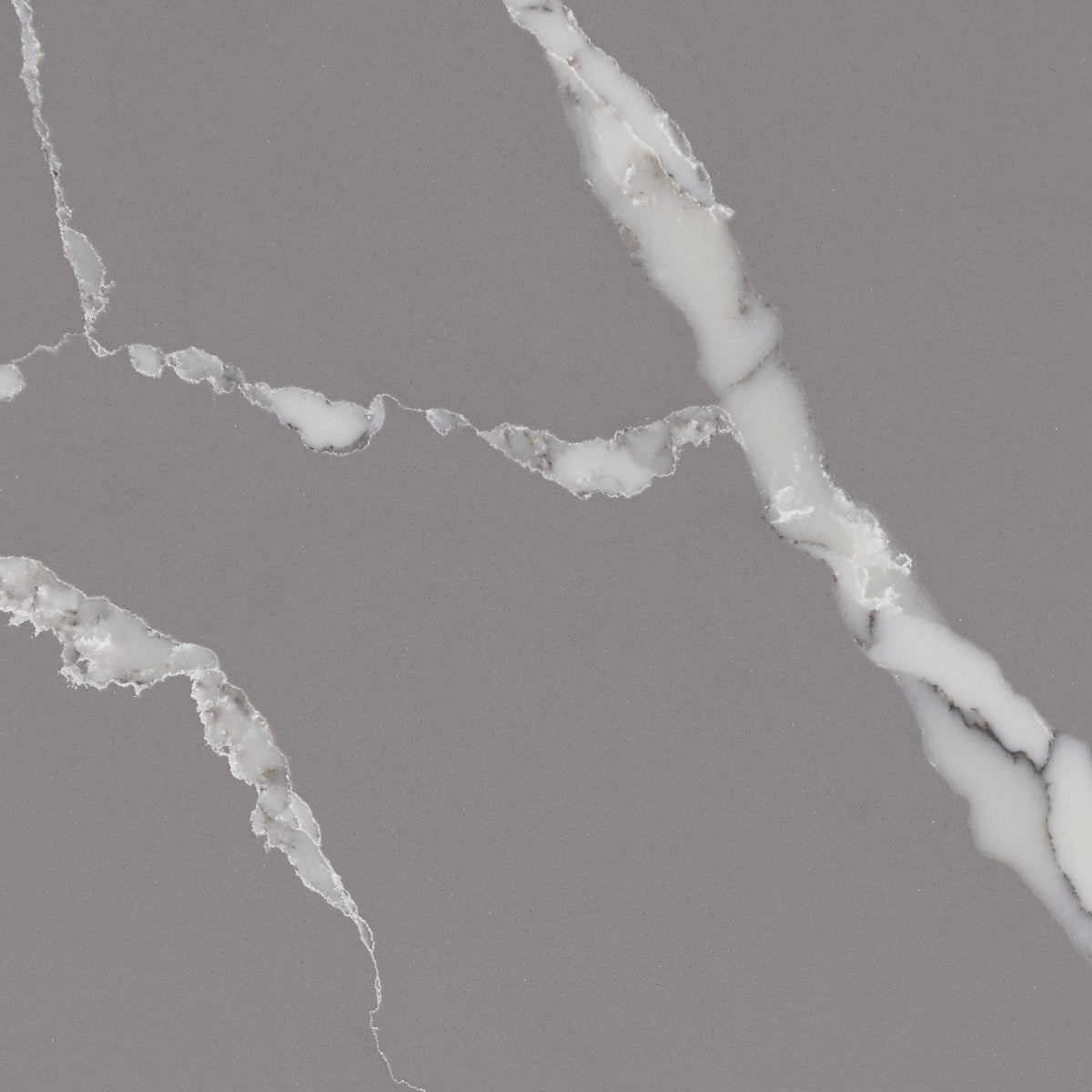 Calacatta Laza Grigio Quartz