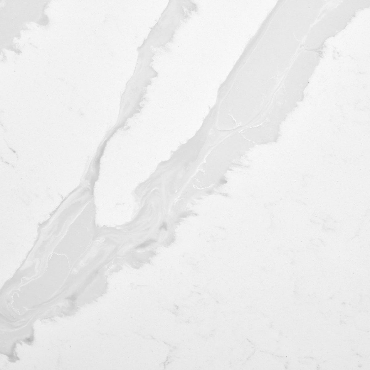 Calacatta Luccia Quartz