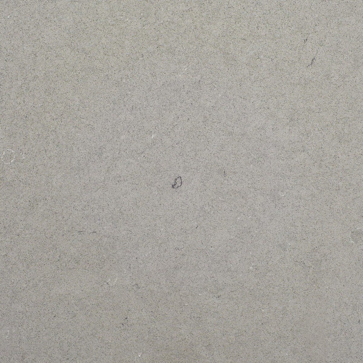 Fossil Gray Quartz
