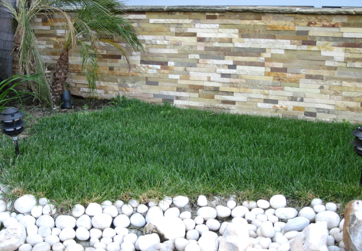 Golden White