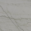 Grey Canyon Quartzite