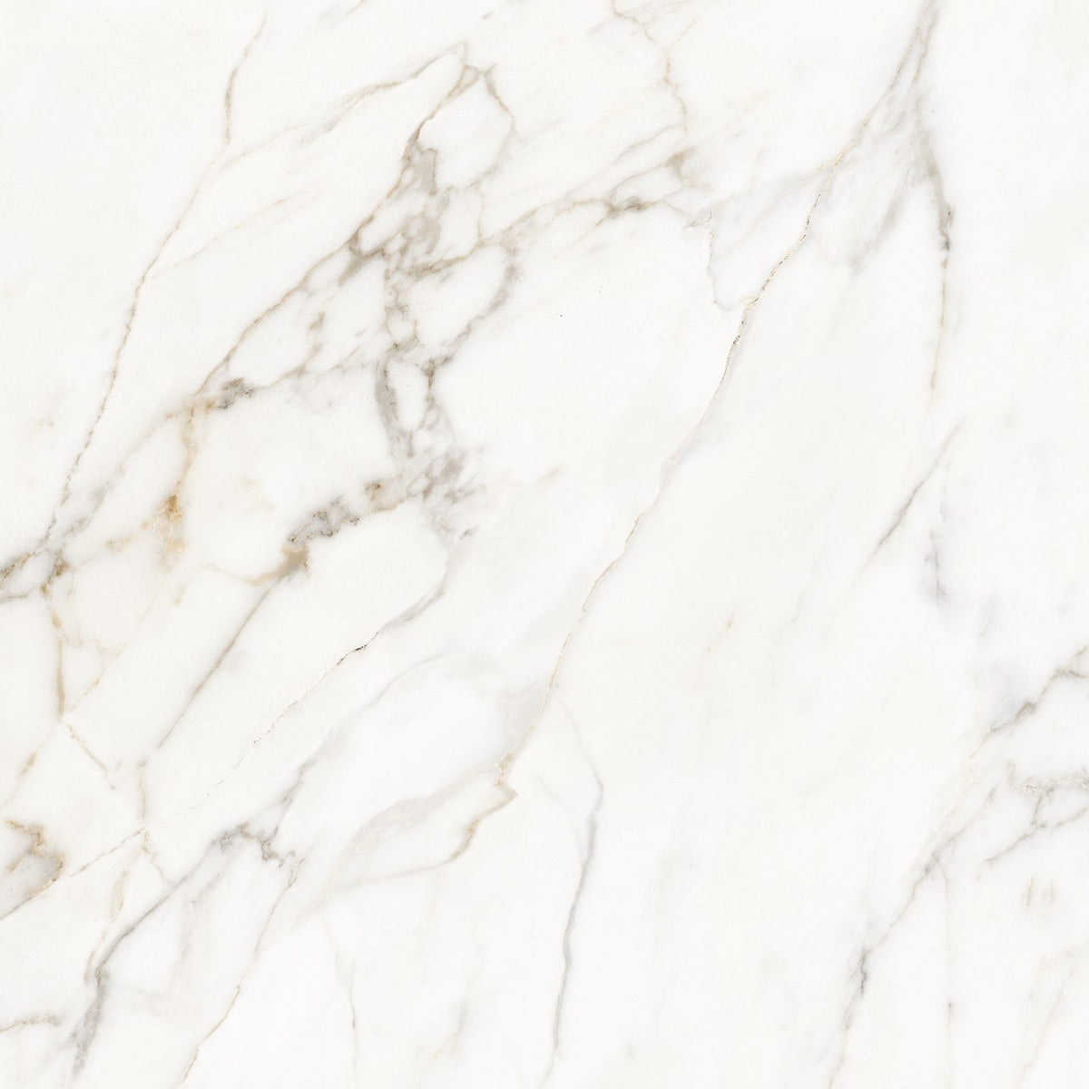 Calacatta Lucca Porcelain