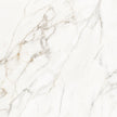 Calacatta Lucca Porcelain