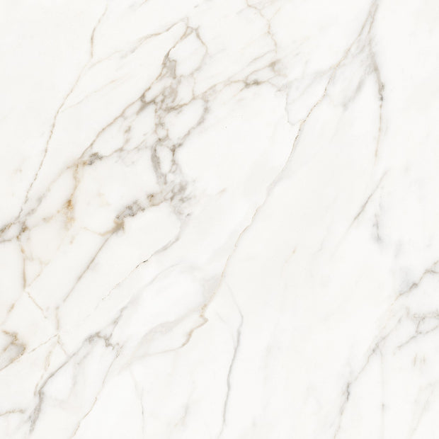 Calacatta Lucca Porcelain