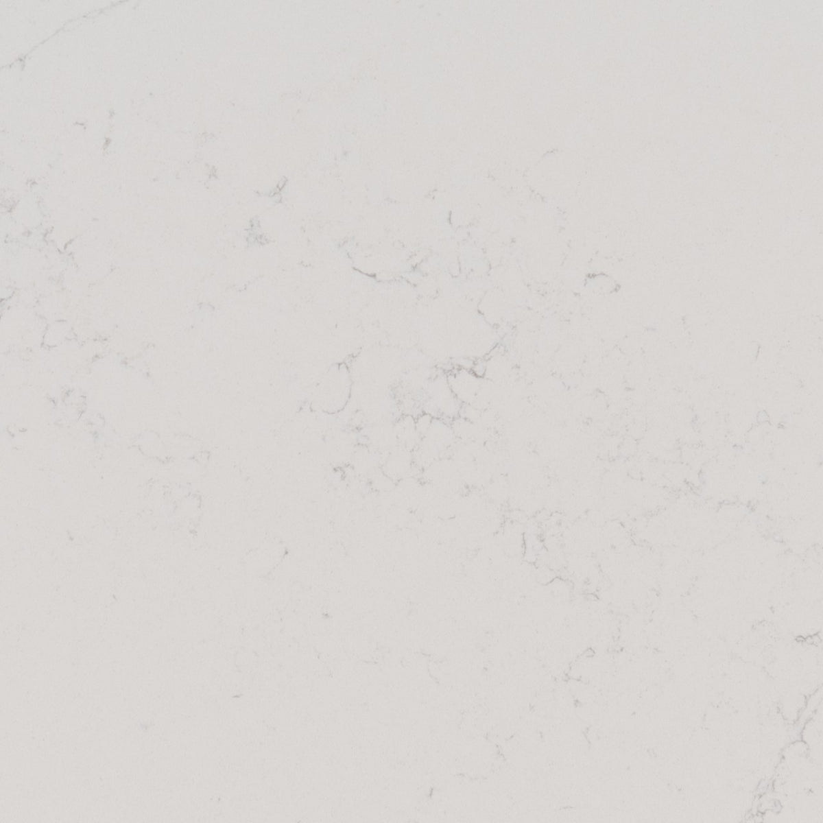 Calacatta Botanica Quartz