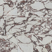 Violetta - Exotica Collection