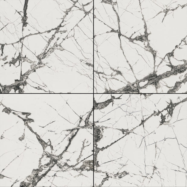 Lux Iceberg - Exotica Collection